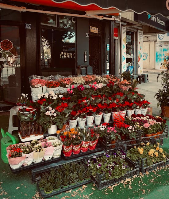 An outdoor flower display featuring a variety of fresh flowers arranged on a black tiered stand in front of a shop with a dark facade and large glass window. The arrangement includes potted red and pi